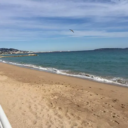 Panoramer