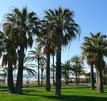 Panoramer Cannes